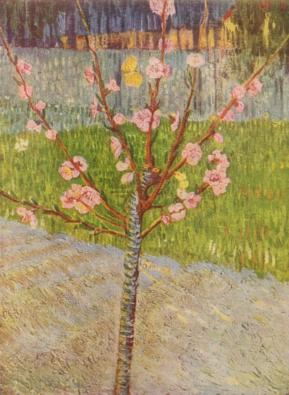 Boulevard de Clichy alkotó: Vincent van Gogh