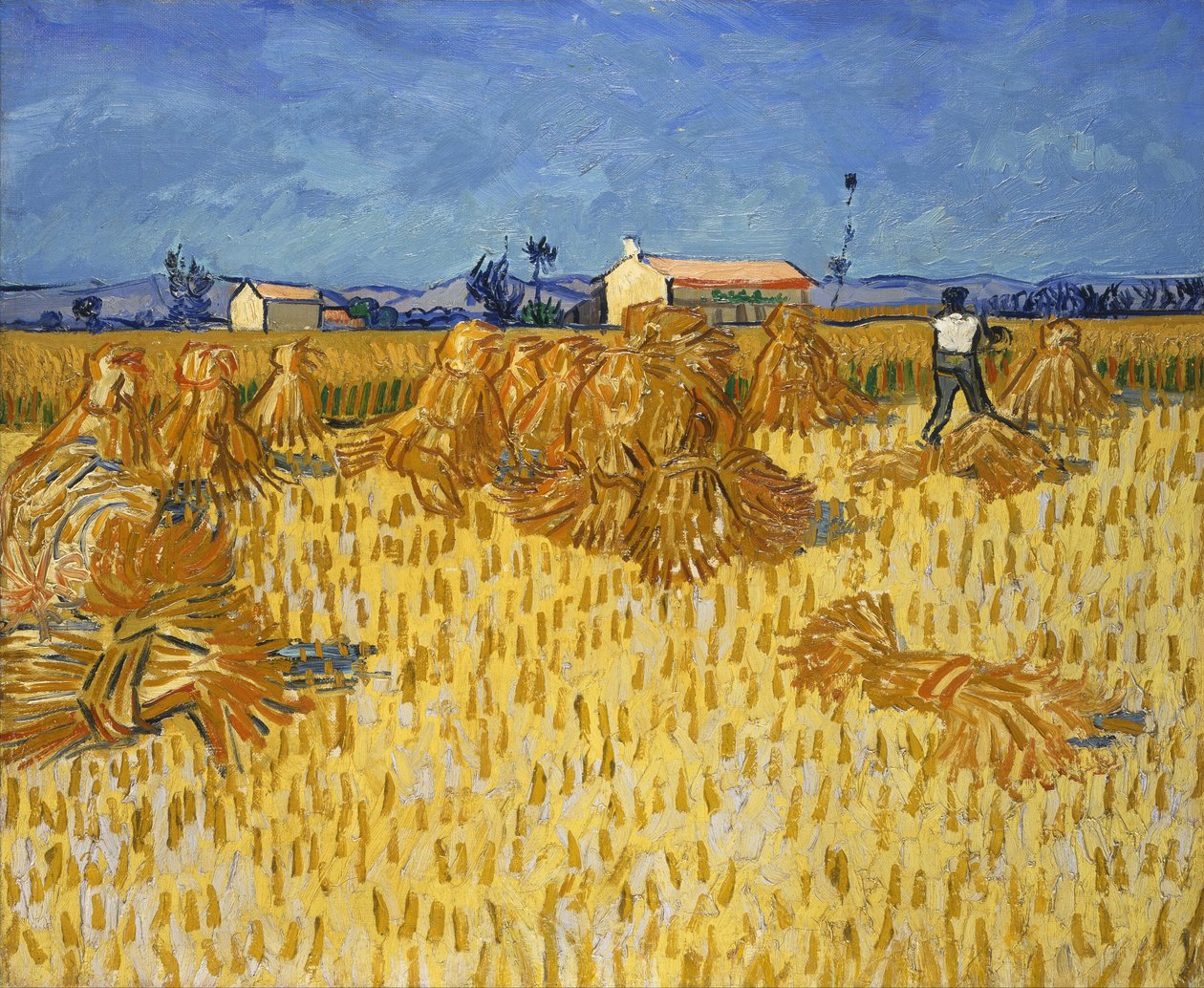 Kukorica betakarítása Provence -ban alkotó: Vincent van Gogh