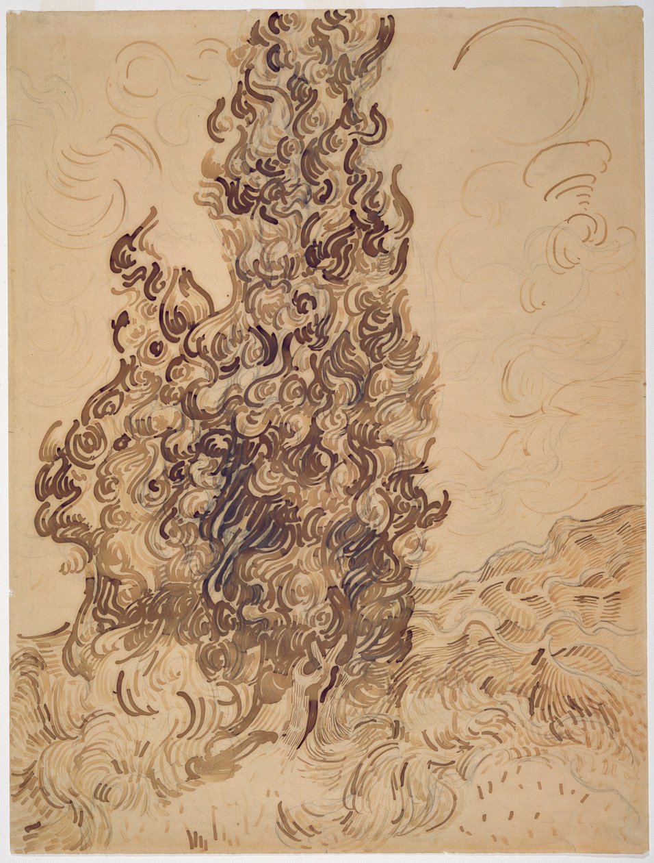 Ciprusok, 1889 (nád toll, grafit, toll és barna és fekete tinta papíron) alkotó: Vincent van Gogh