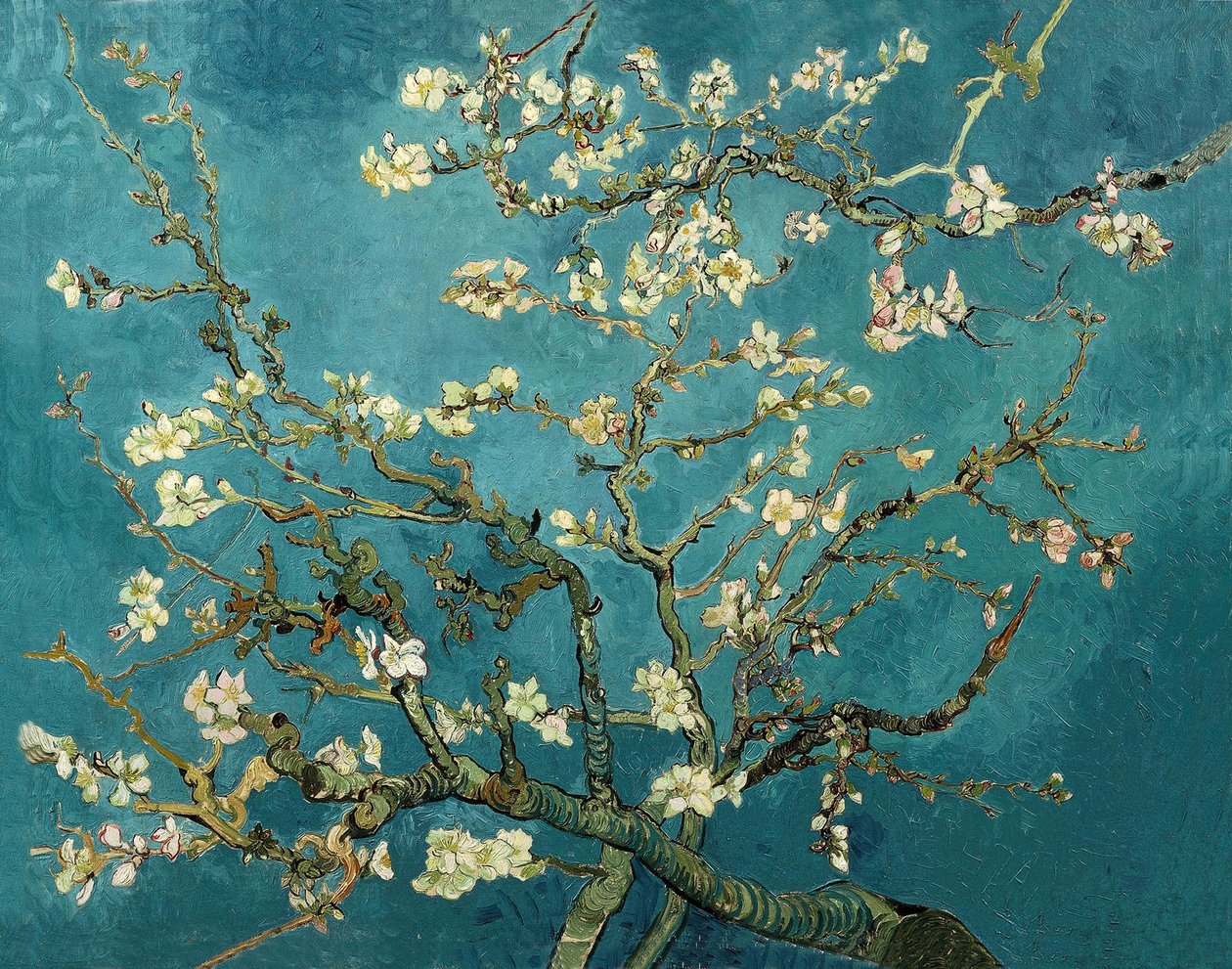 Mandulavirág alkotó: Vincent van Gogh