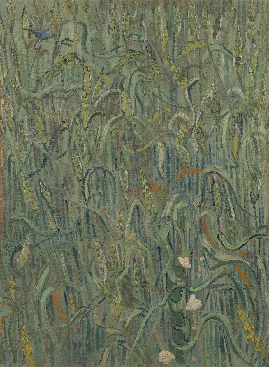 Búza füle alkotó: Vincent van Gogh