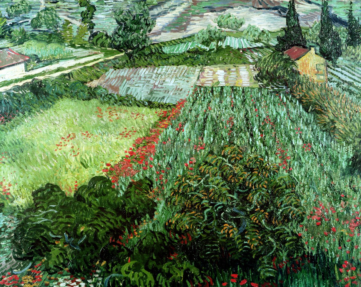 Mező pipacsokkal, 1889 alkotó: Vincent van Gogh