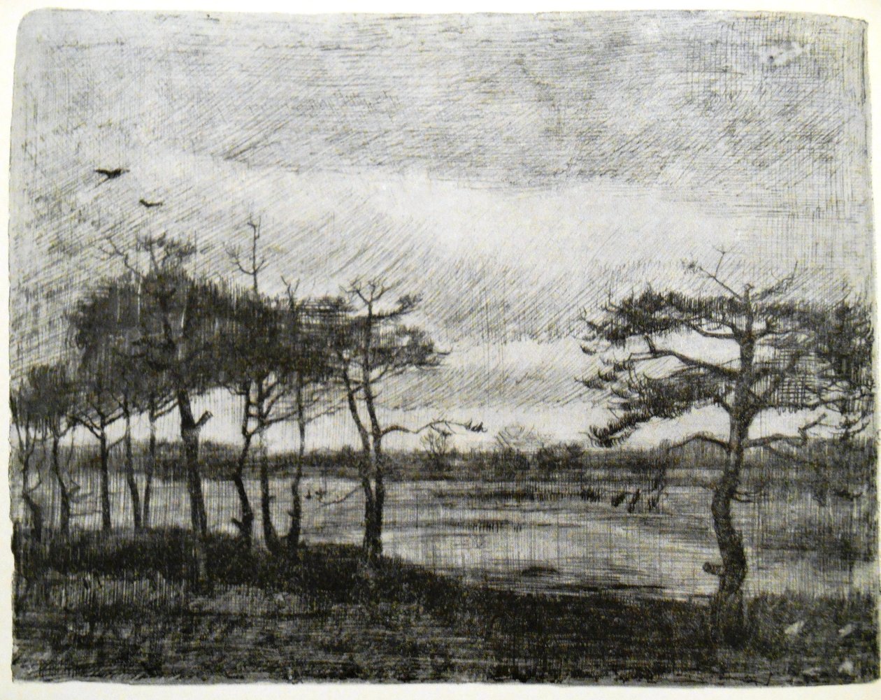 Fenyők egy mocsár mellett alkotó: Vincent van Gogh