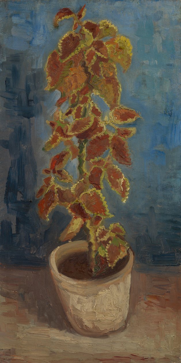 Láng csalán egy virágcserépben alkotó: Vincent van Gogh