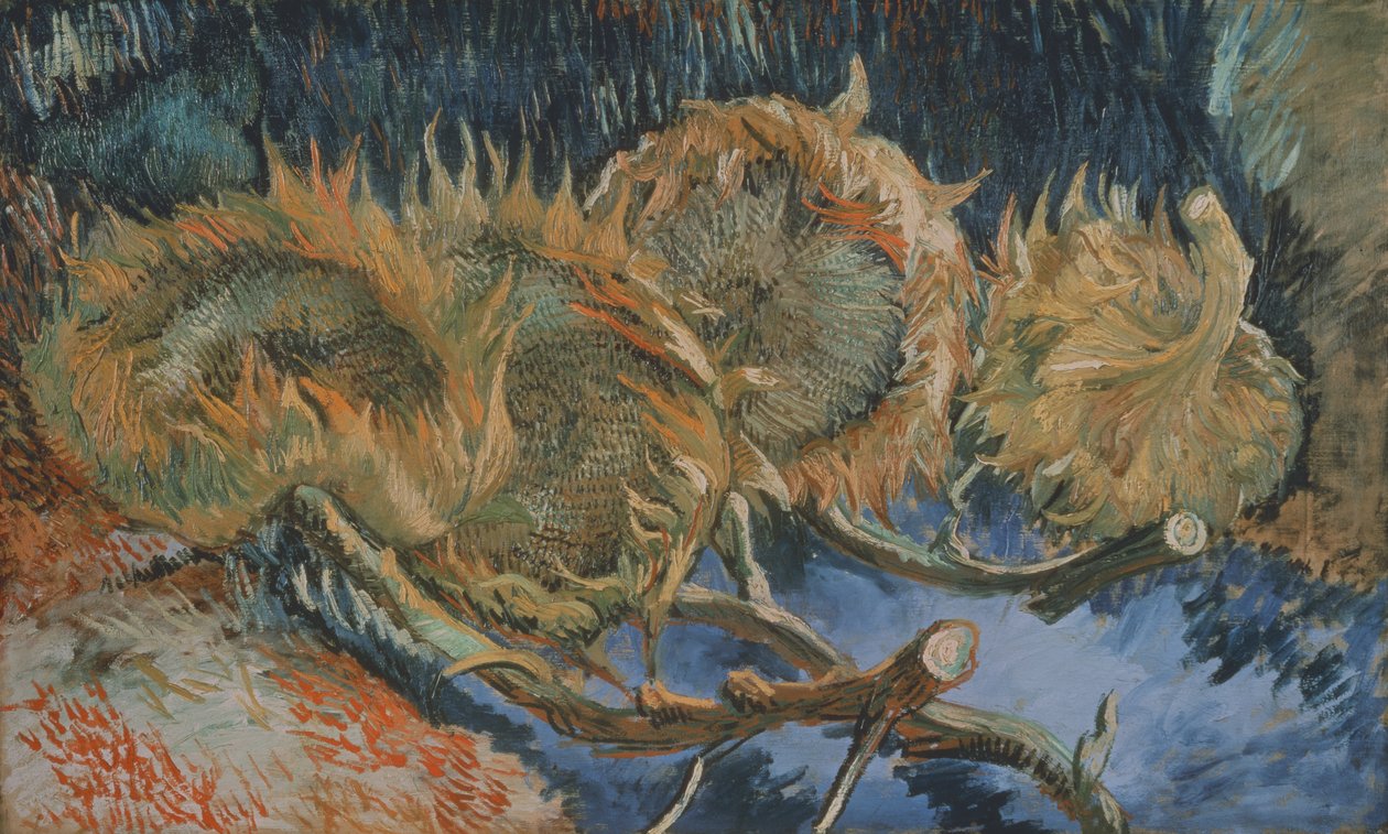 Négy elszáradt napraforgó, 1887 alkotó: Vincent van Gogh