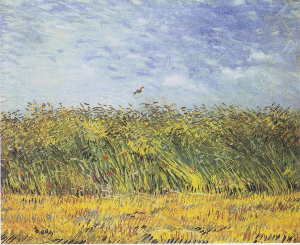 Gabonatábla pipacsokkal és cérkákkal alkotó: Vincent van Gogh