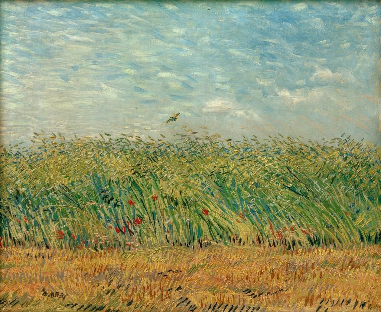 Gabona mező mákkal és fogoly alkotó: Vincent van Gogh