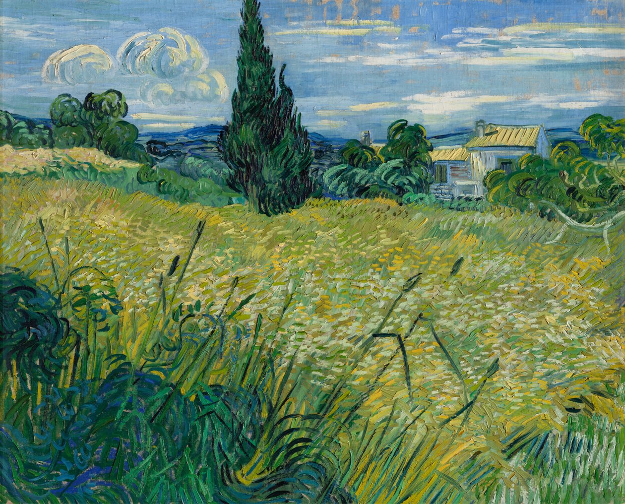 Zöld búza, 1889 alkotó: Vincent van Gogh