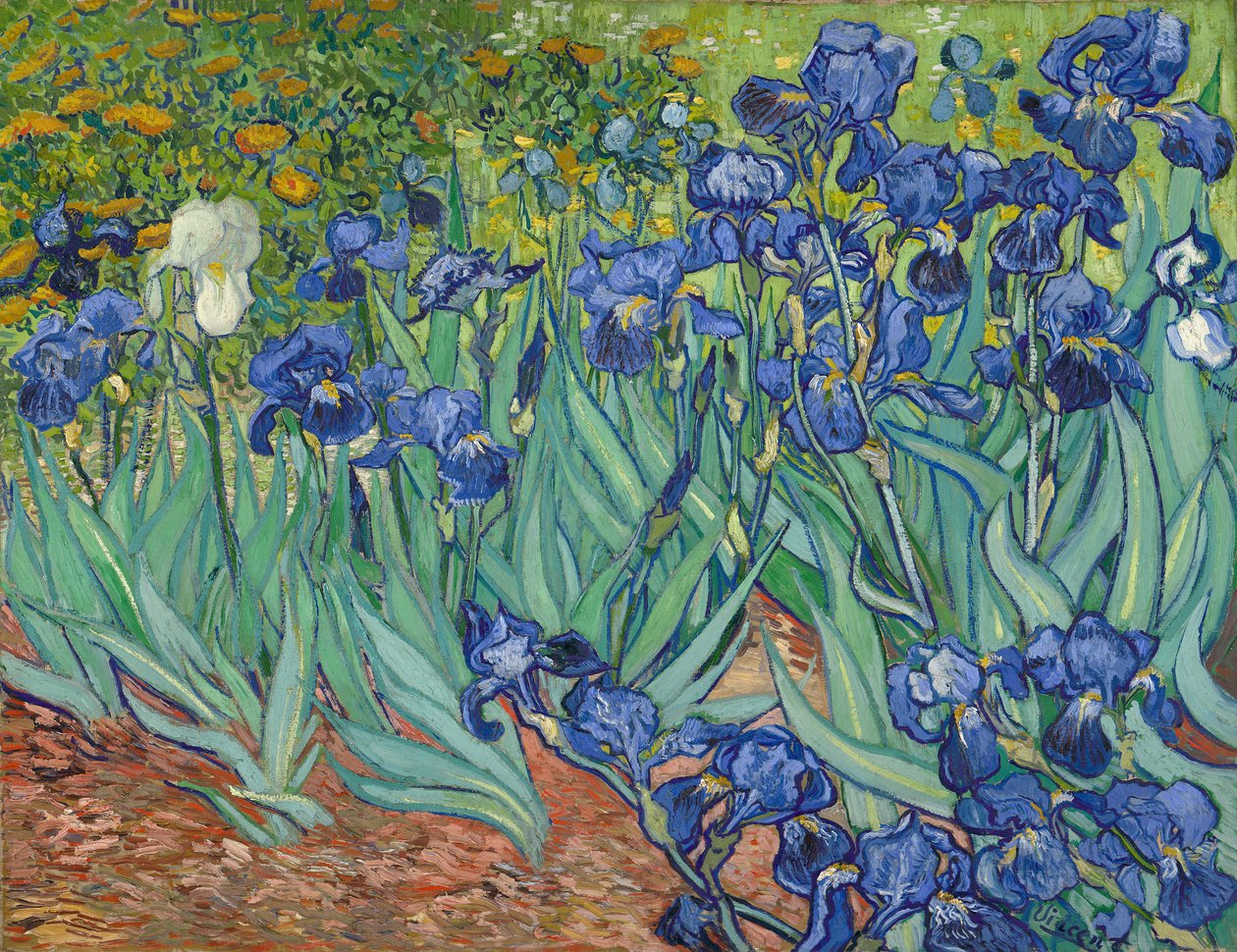 Íriszek alkotó: Vincent van Gogh