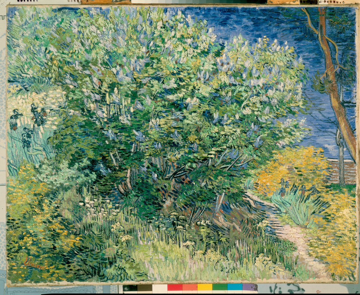 Lila Bush alkotó: Vincent van Gogh