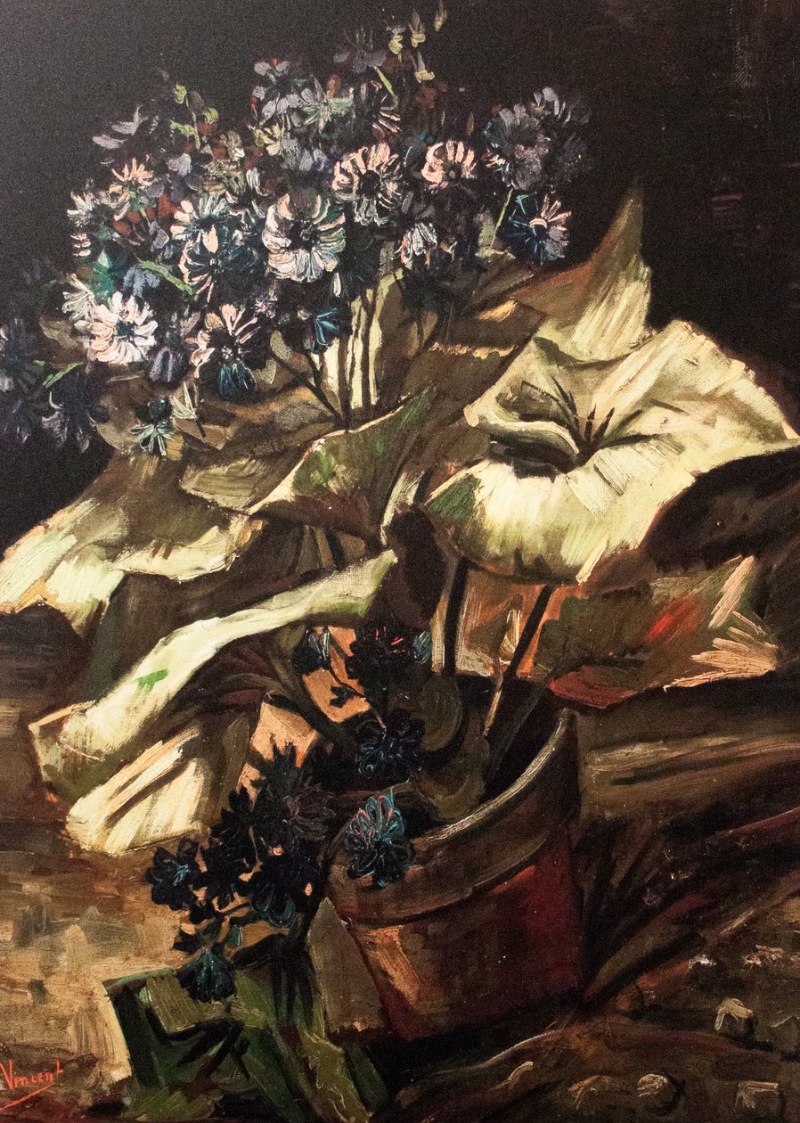 Az álmom alkotó: Vincent van Gogh