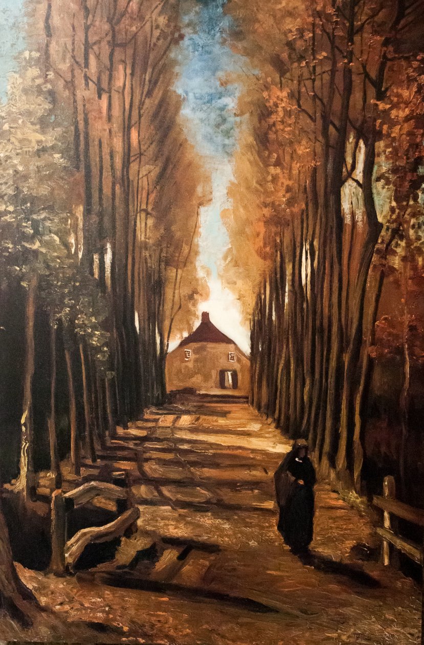 Az álmom alkotó: Vincent van Gogh
