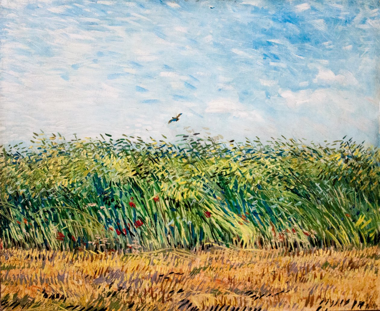 Az álmom alkotó: Vincent van Gogh