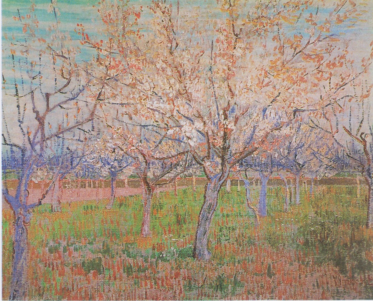 Gyümölcsös virágzó sárgabarackfákkal alkotó: Vincent van Gogh