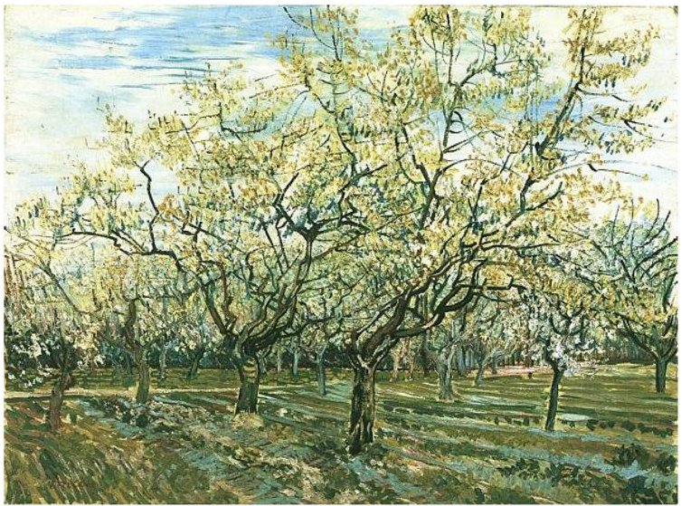 Gyümölcsös virágzó szilvafákkal alkotó: Vincent van Gogh