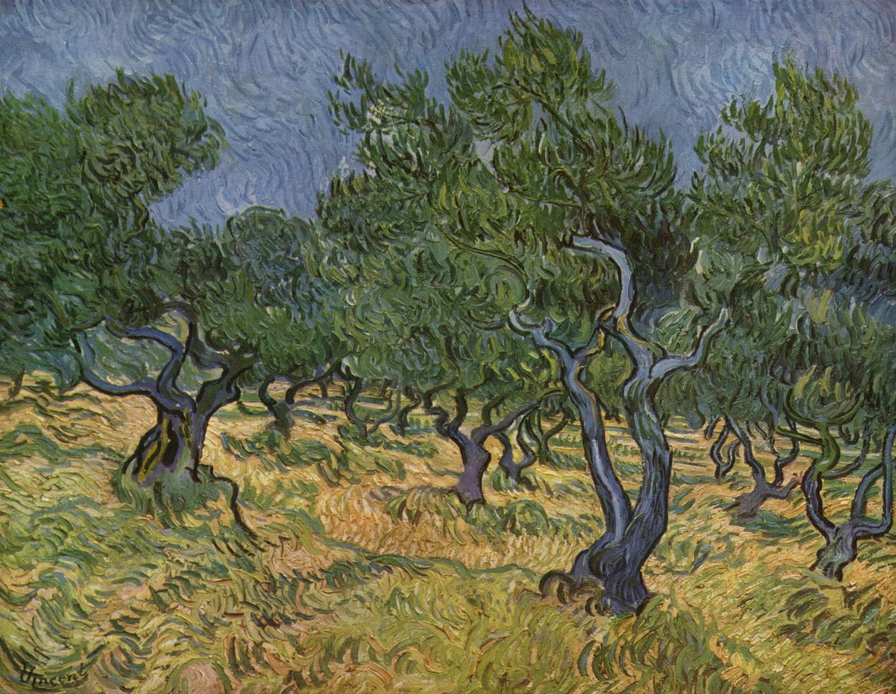 Olajfaliget alkotó: Vincent van Gogh
