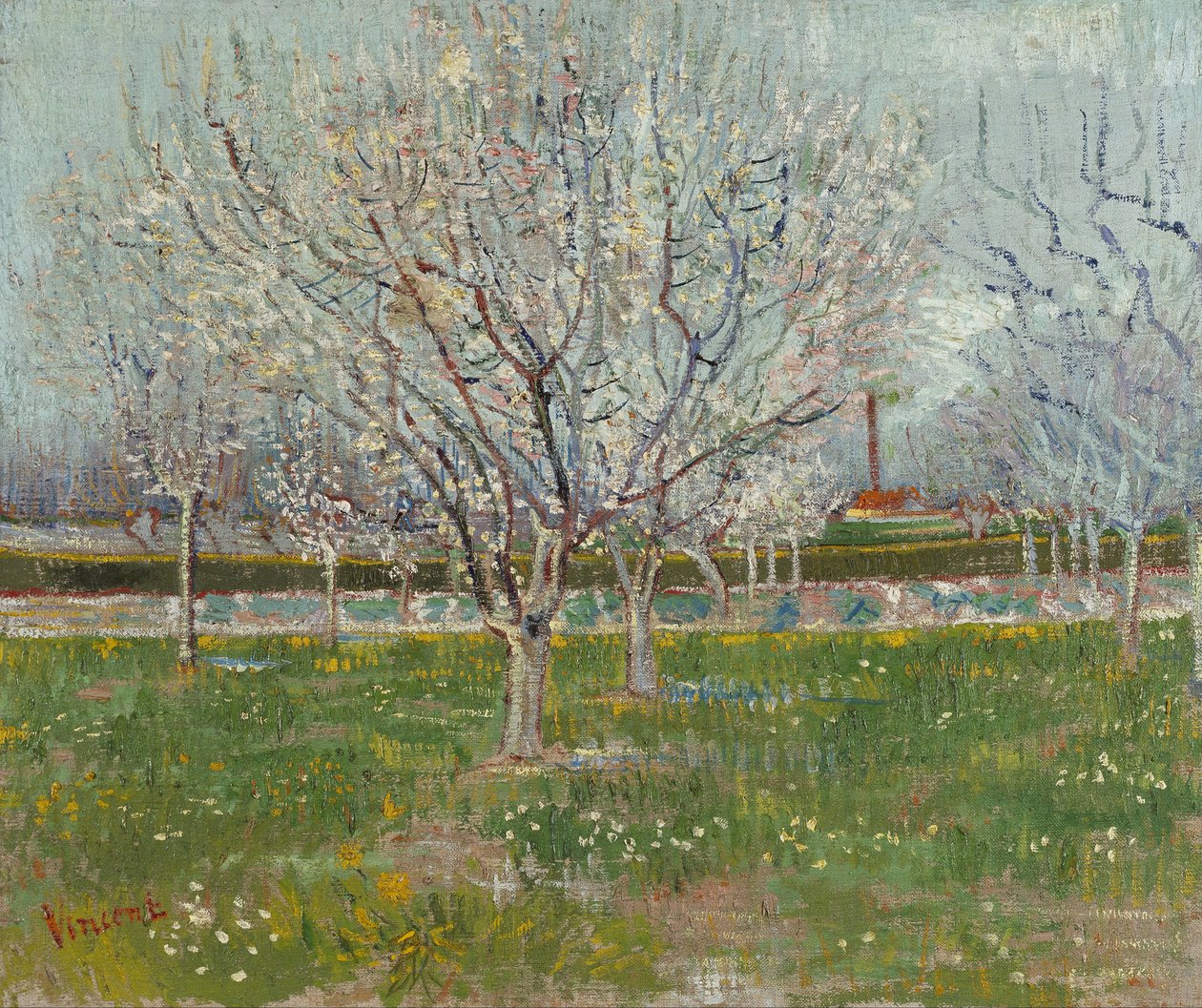 Virágos gyümölcsös (szilvafák) alkotó: Vincent van Gogh