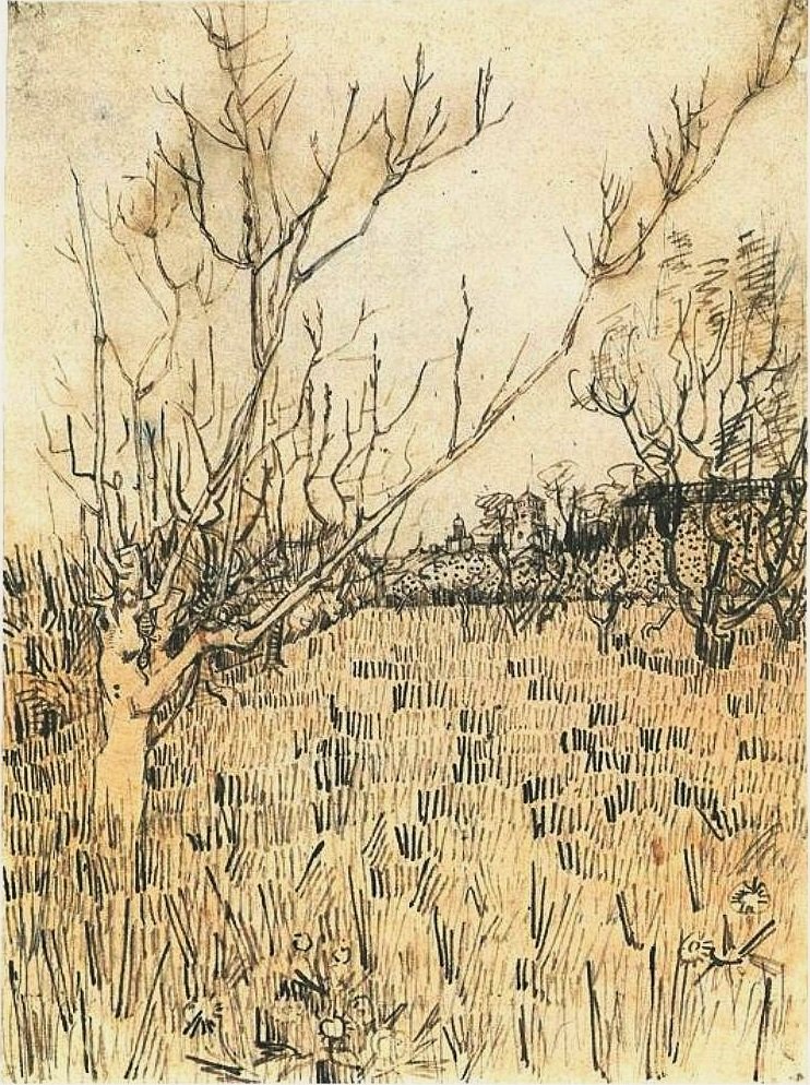 Gyümölcsös Arles -szel a háttérben alkotó: Vincent van Gogh