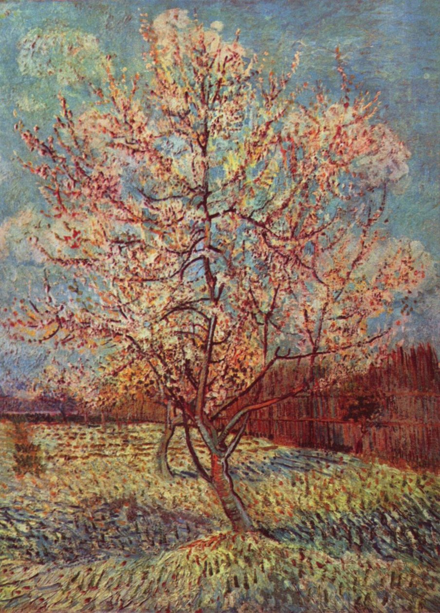 Őszibarackfa a virágban alkotó: Vincent van Gogh