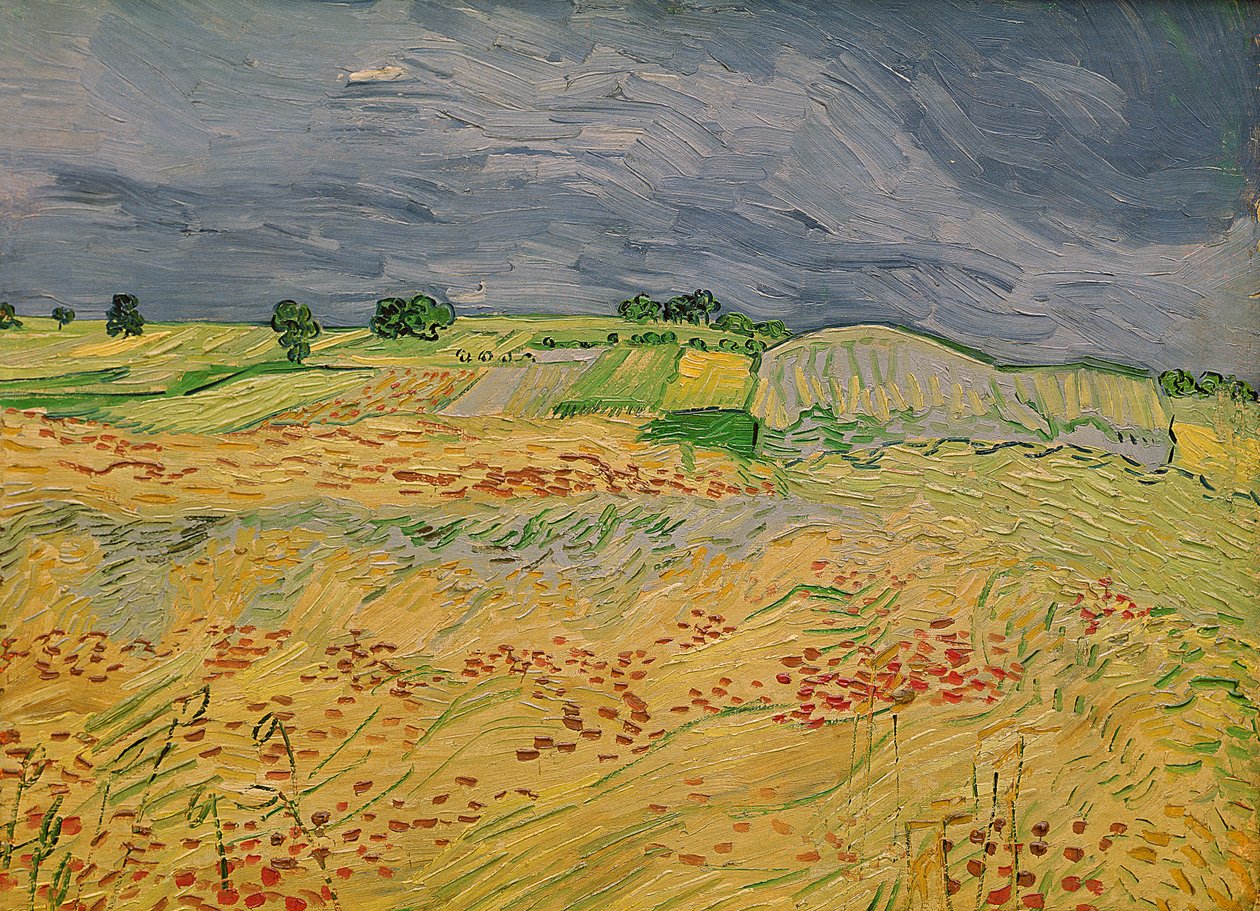 Plain at Auvers, 1890 alkotó: Vincent van Gogh