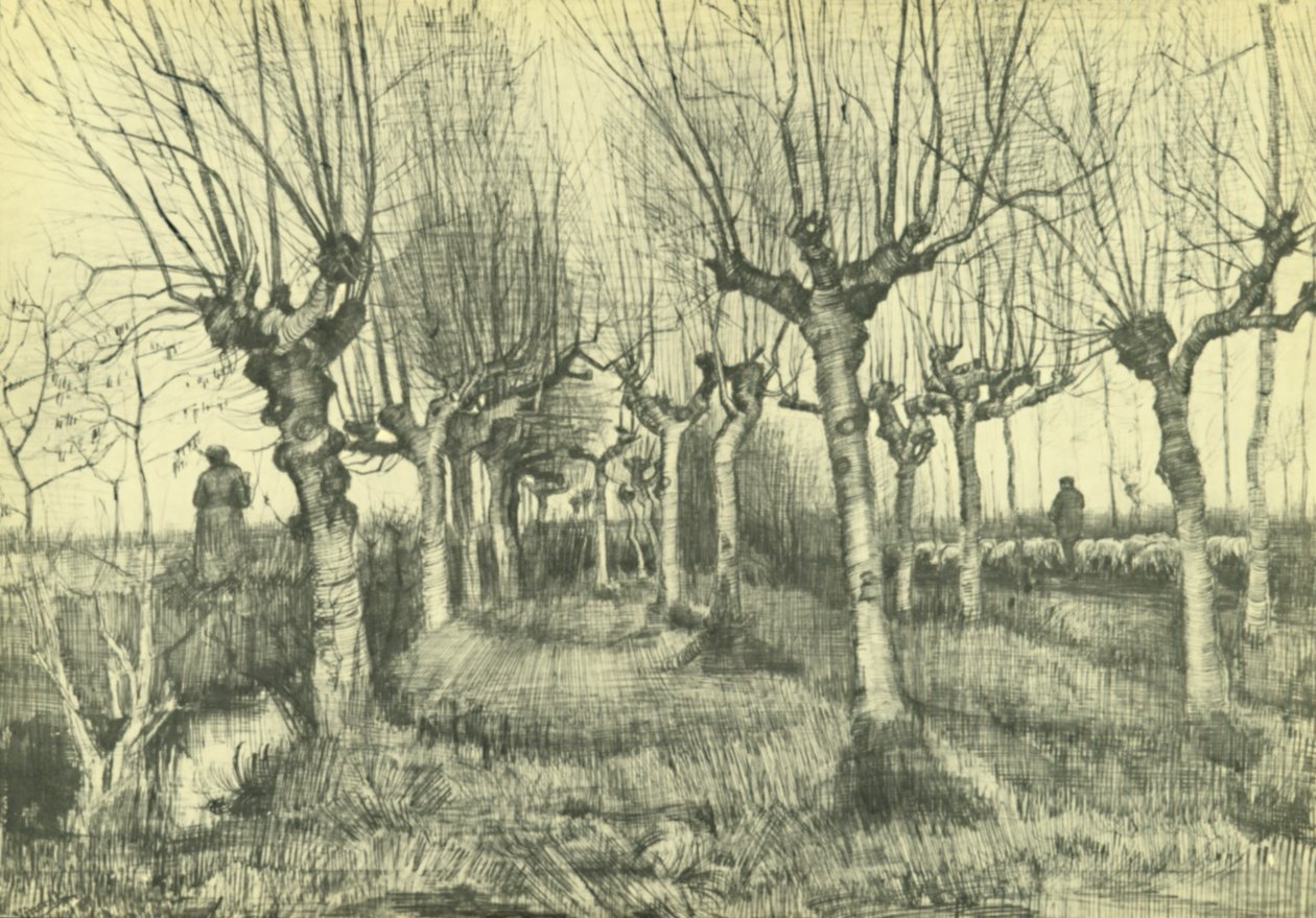 Pollard nyír alkotó: Vincent van Gogh