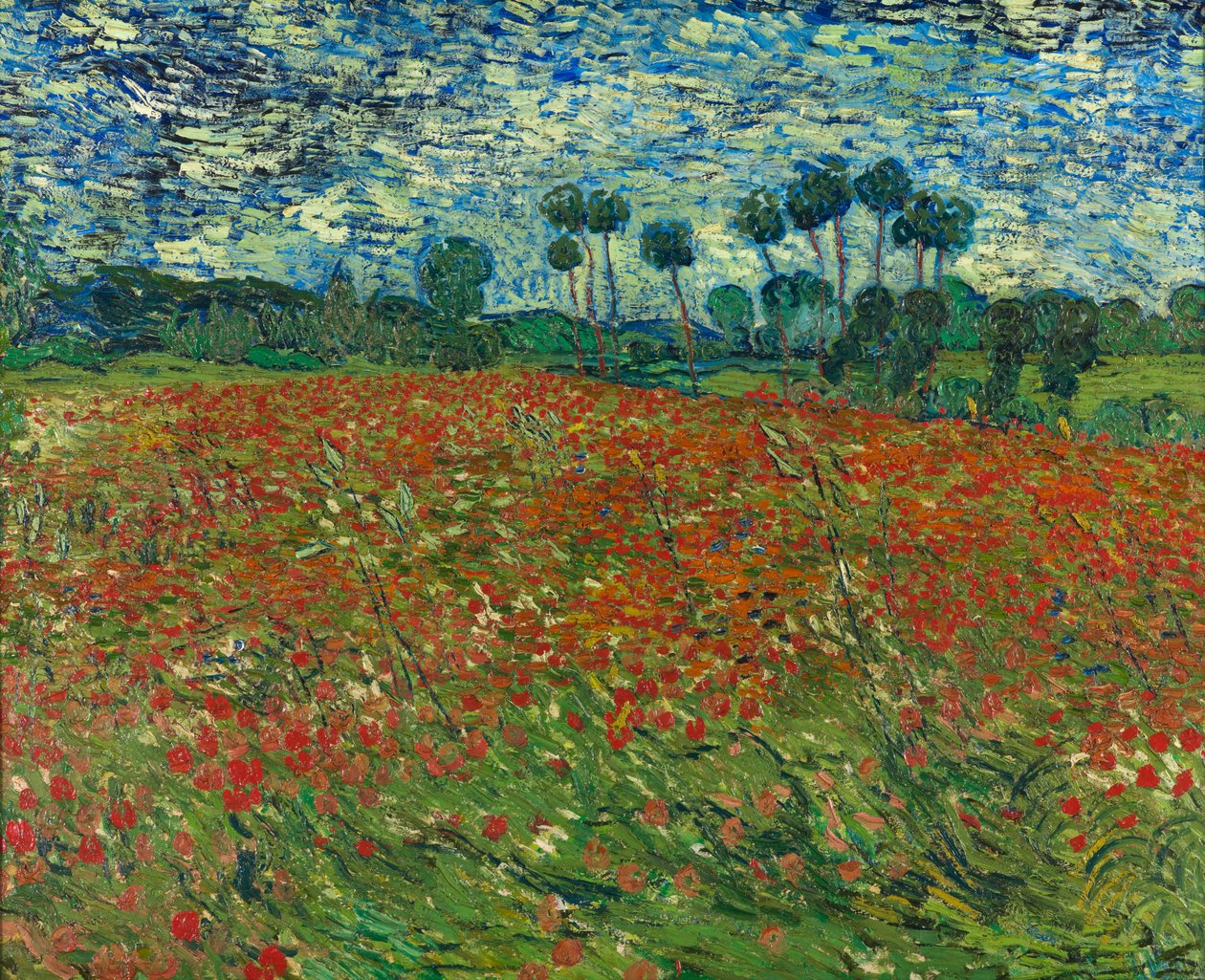Pipacsmező alkotó: Vincent van Gogh