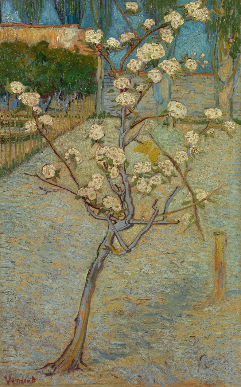 Kivirágzott kis körtefa alkotó: Vincent van Gogh