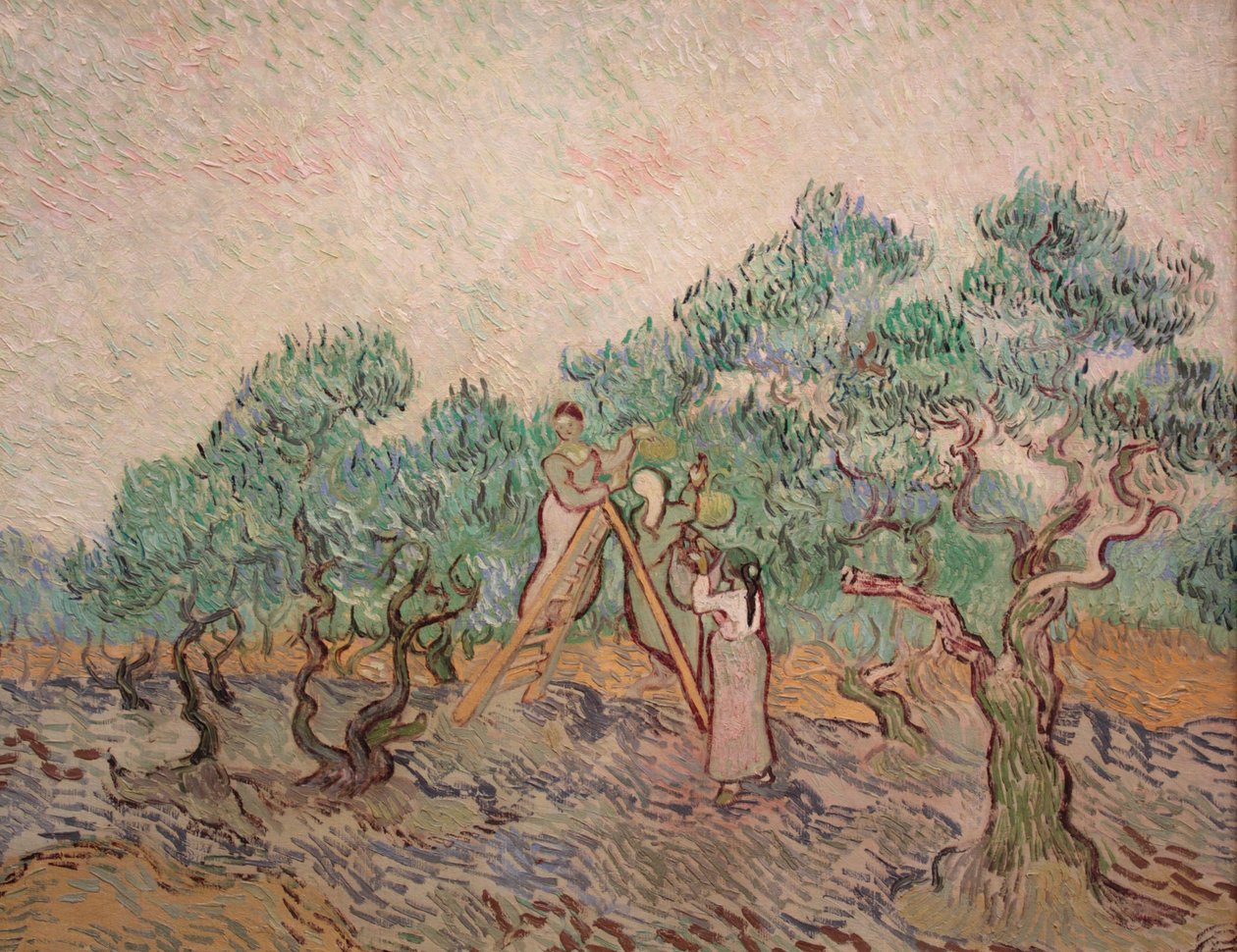 Az olajbogyókert alkotó: Vincent van Gogh