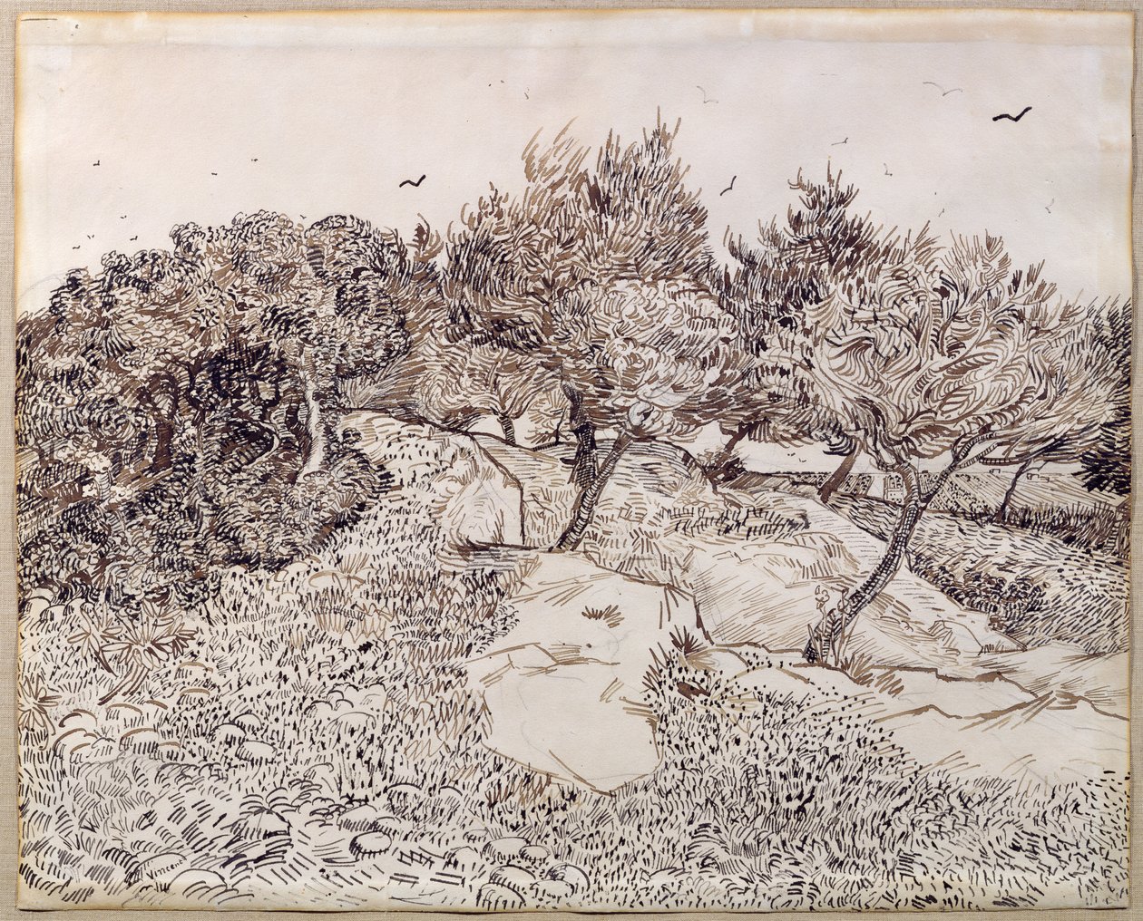 Az olajfák alkotó: Vincent van Gogh