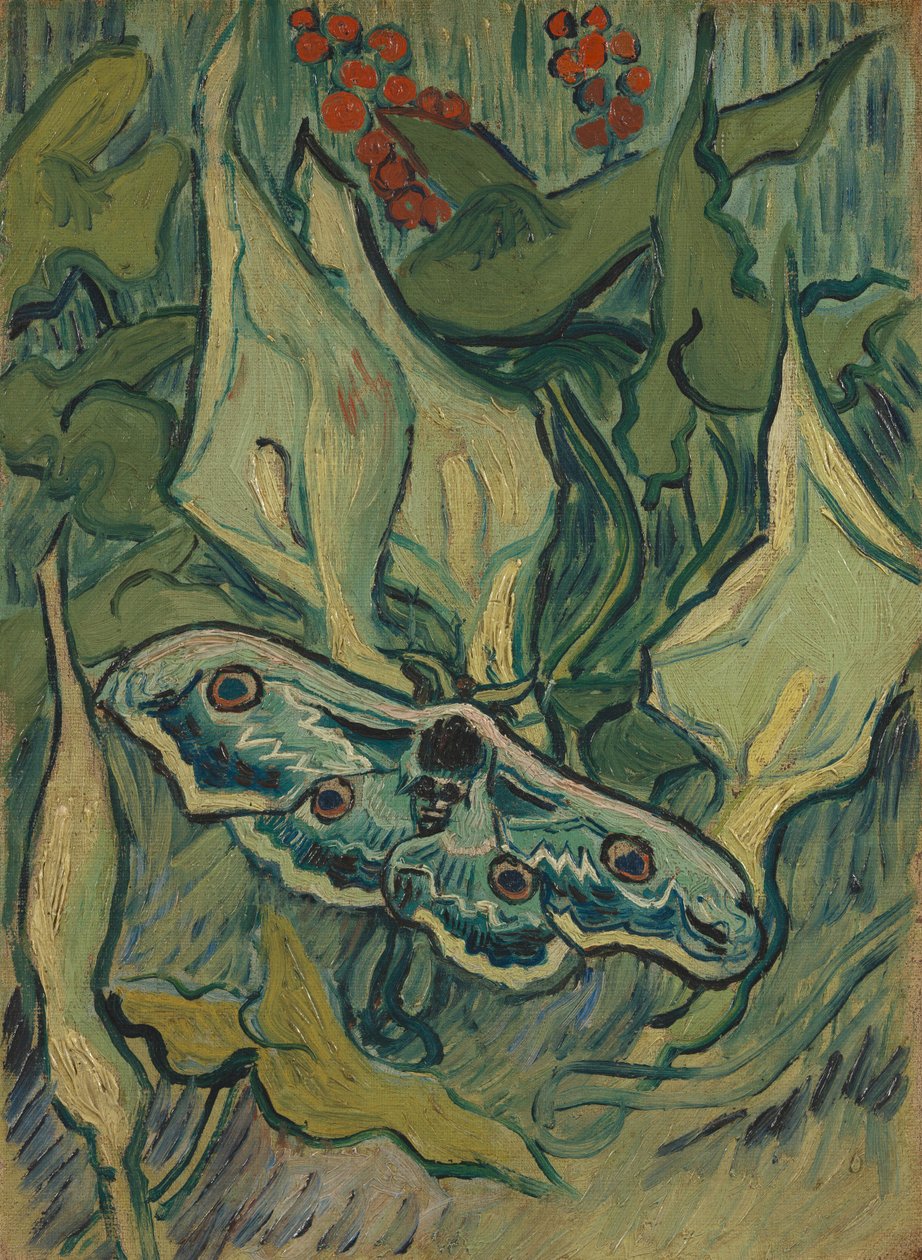 Halálfejű sólyomlepke arumon alkotó: Vincent van Gogh