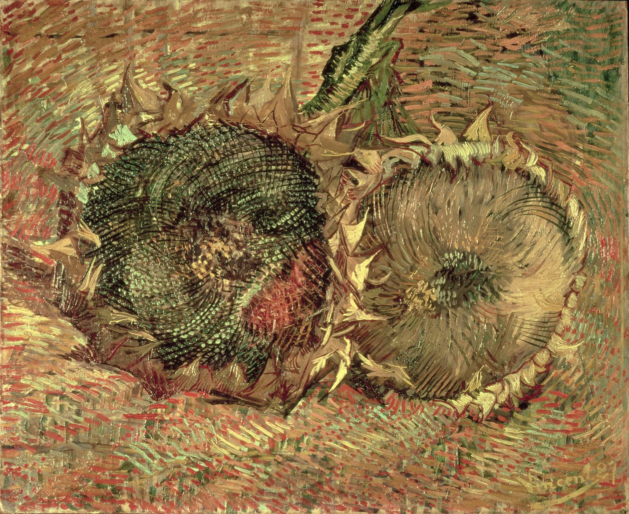 Két vágott napraforgó, 1887 alkotó: Vincent van Gogh