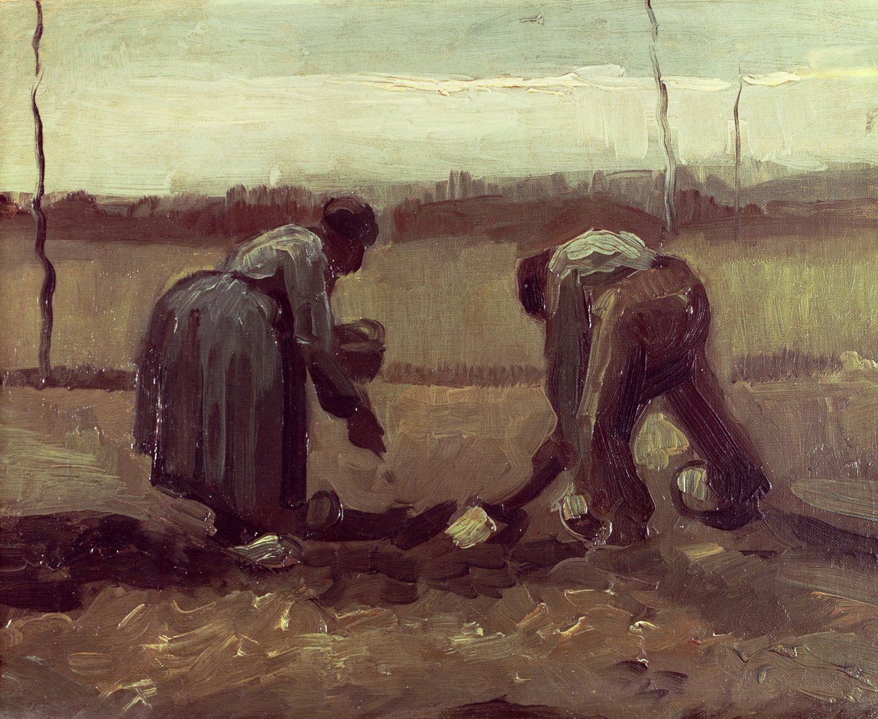 Két paraszt burgonyát ültet, 1885 alkotó: Vincent van Gogh