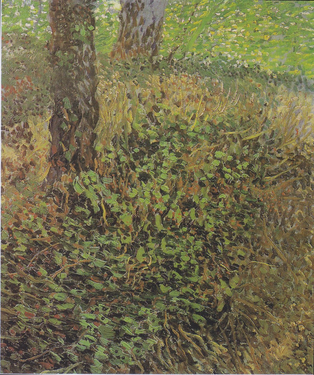 Aljnövényzet alkotó: Vincent van Gogh