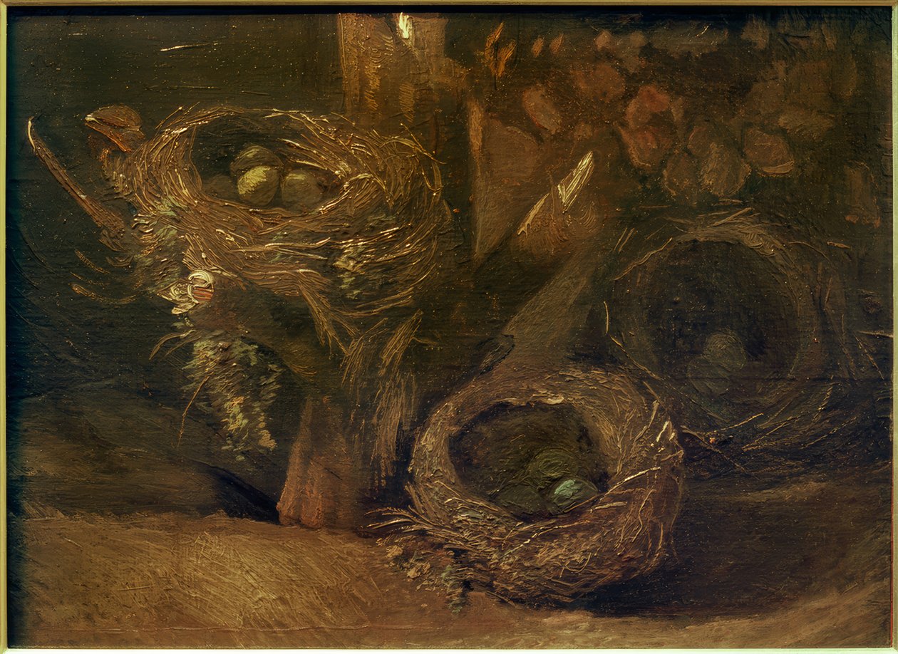 Madárfészkek alkotó: Vincent van Gogh