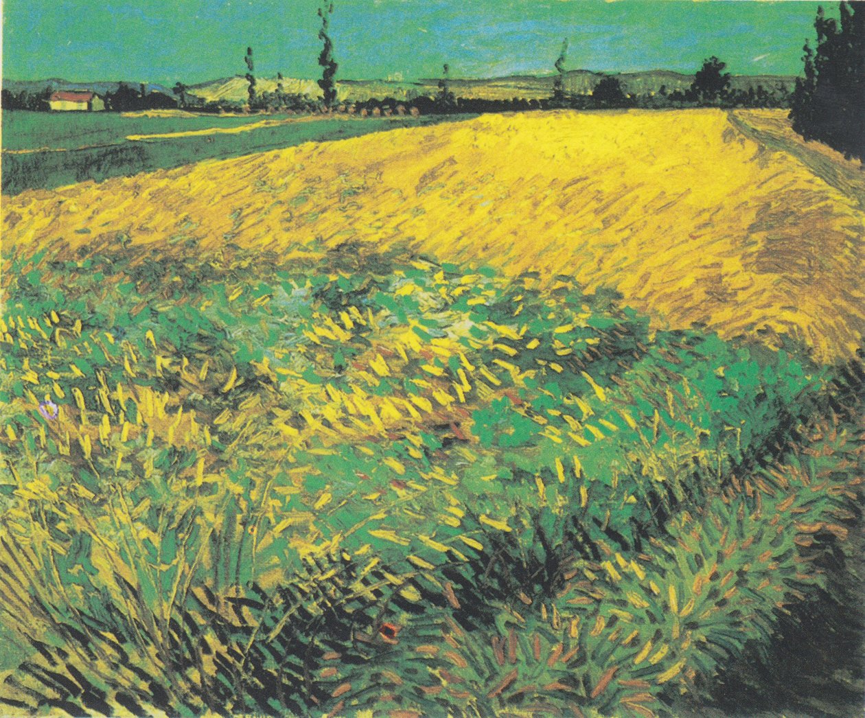 Búzamező az Alpilles dombjaival a háttérben alkotó: Vincent van Gogh