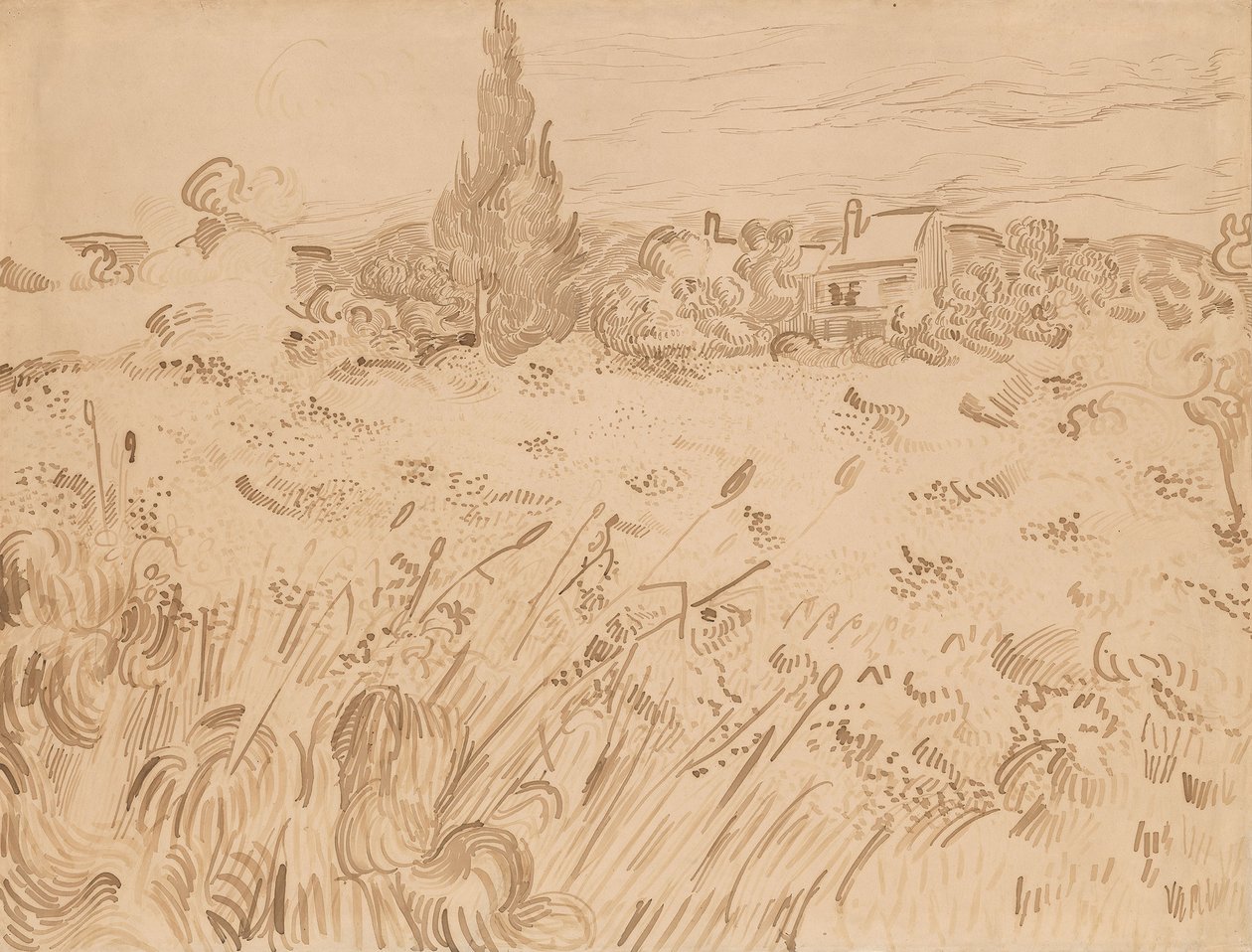 Búzamező, Saint-Rémy de Provence alkotó: Vincent van Gogh