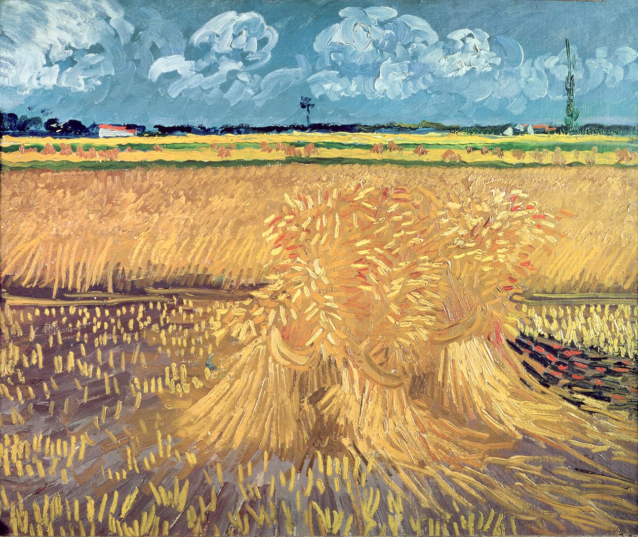 Búzamező kévékkel, 1888 alkotó: Vincent van Gogh