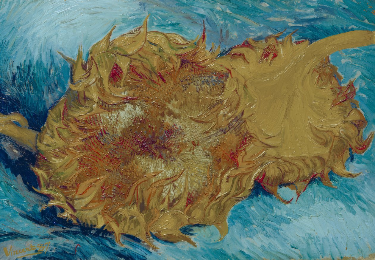 Két vágott napraforgó alkotó: Vincent van Gogh