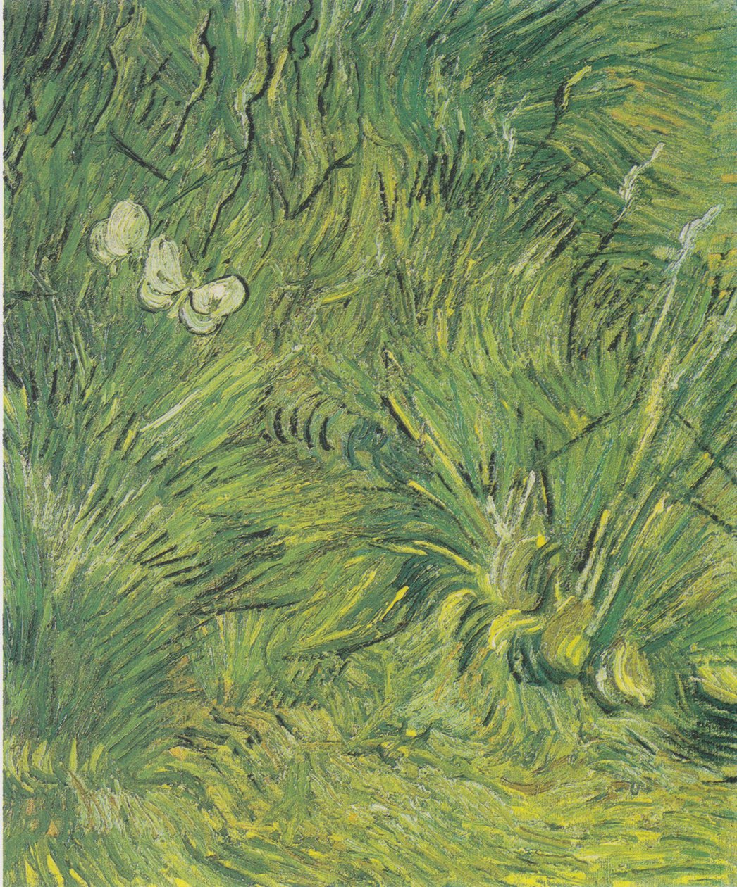 Két fehér pillangó alkotó: Vincent van Gogh