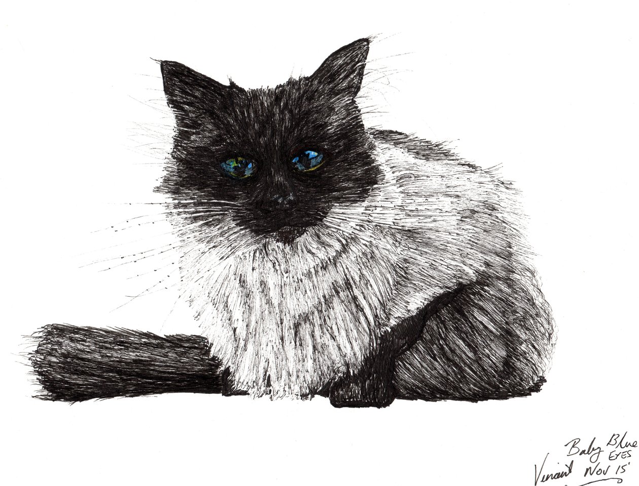 Baba kék szeme, 2015, (tinta papíron) alkotó: Vincent Alexander Booth