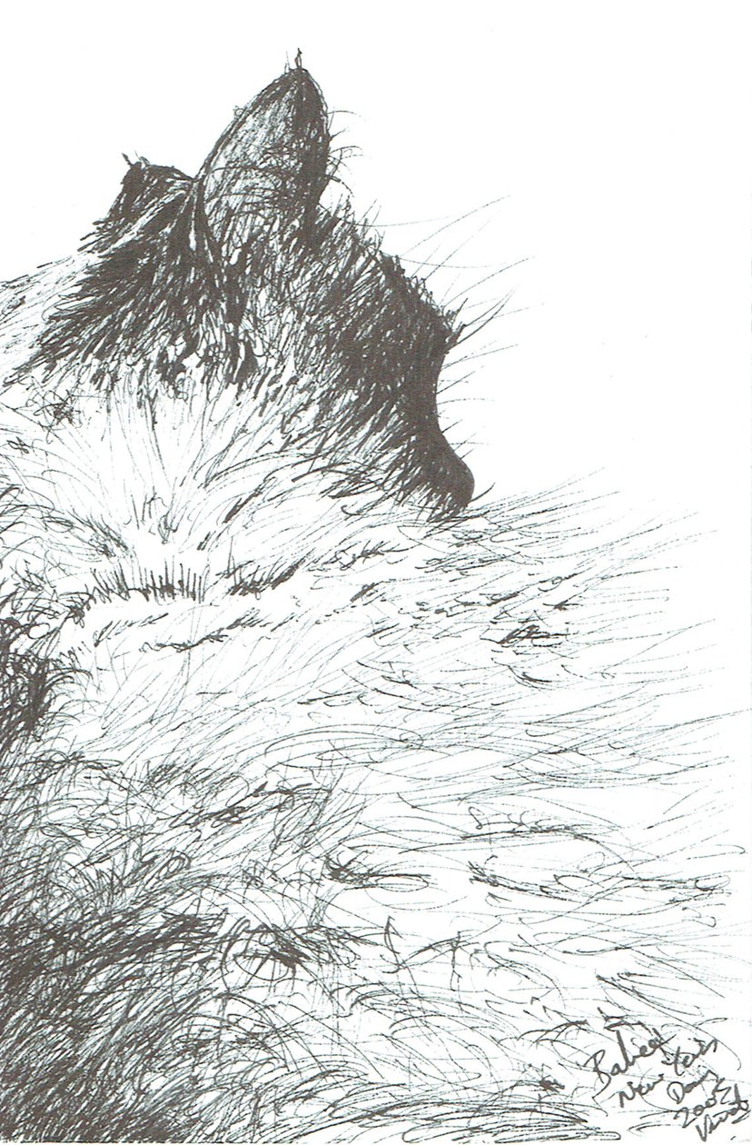 A baba melegen tartja a 2005-ös újévet alkotó: Vincent Alexander Booth