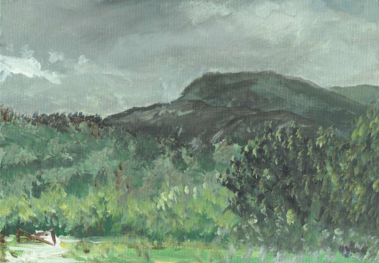 Hills at Creag Dugh, 2006 alkotó: Vincent Alexander Booth