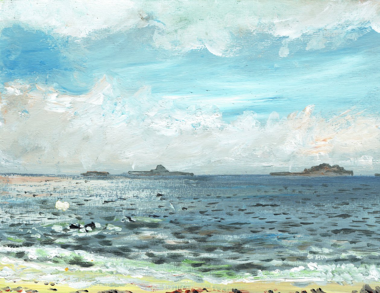 Iona beach, 2007, (akril, vászon táblán) alkotó: Vincent Alexander Booth