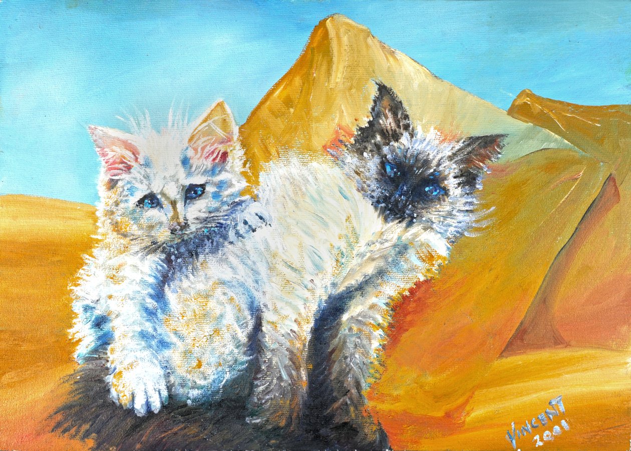 Kiscicák Monty és Baby, 2001 alkotó: Vincent Alexander Booth