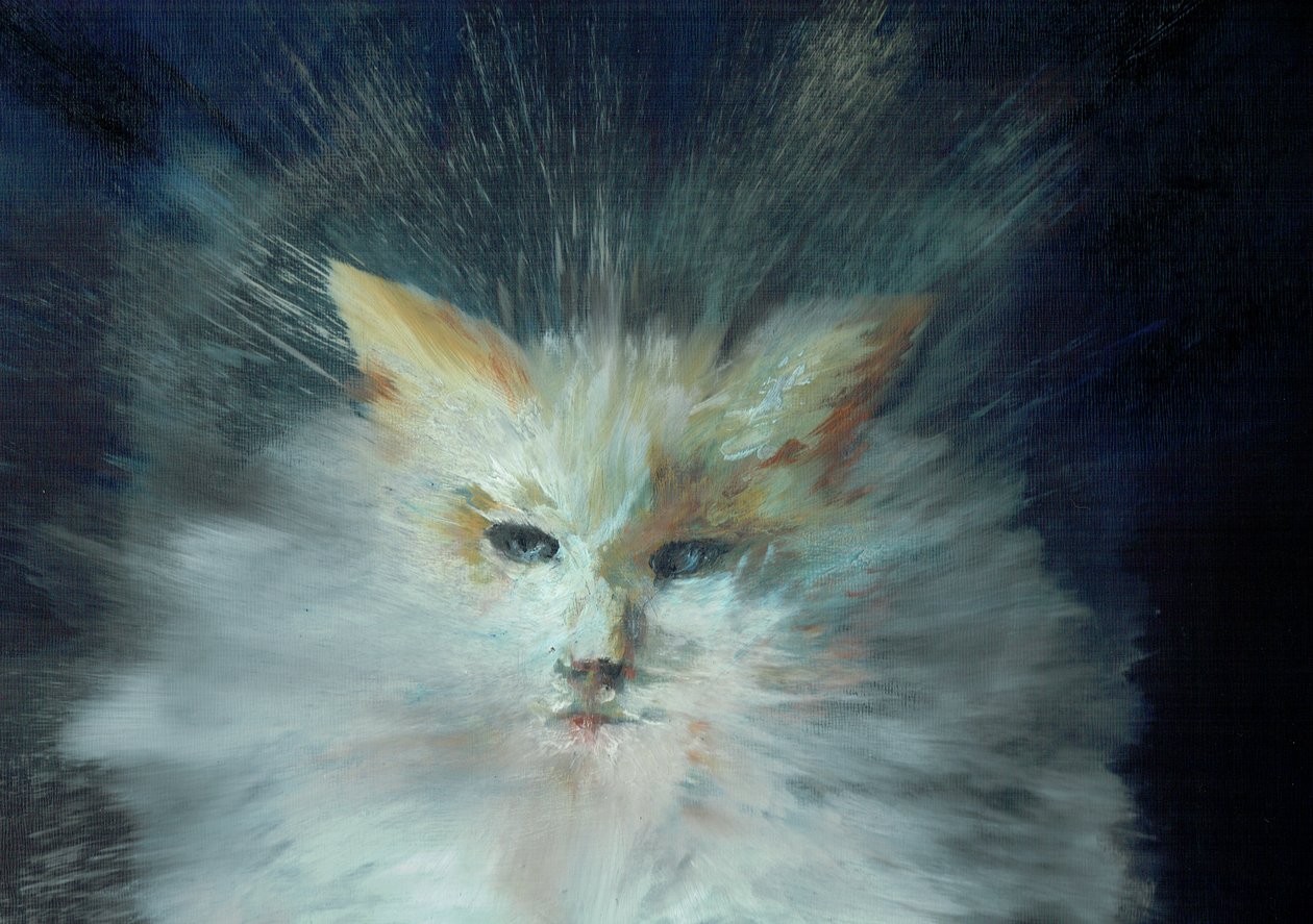 Monty fluffball, 2015, (olaj, vászon tábla) alkotó: Vincent Alexander Booth
