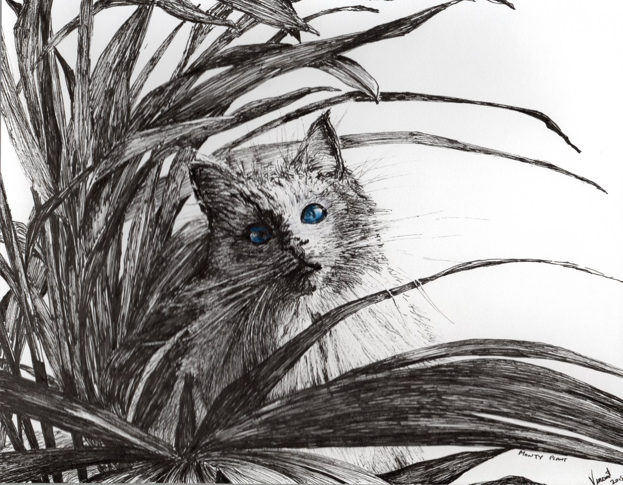 Monty plant, 2015, (tinta, papír) alkotó: Vincent Alexander Booth