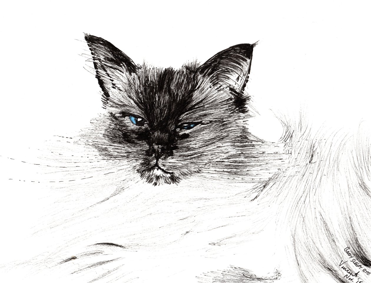 Álmos szem, 2015, (tinta papíron) alkotó: Vincent Alexander Booth