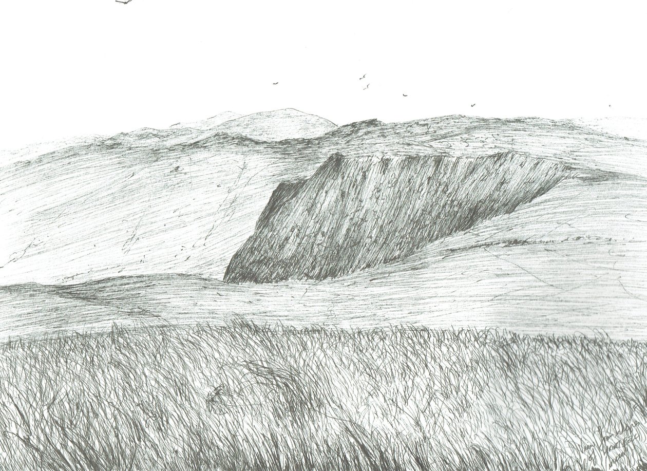 Hartfell lejtői, 2003 alkotó: Vincent Alexander Booth
