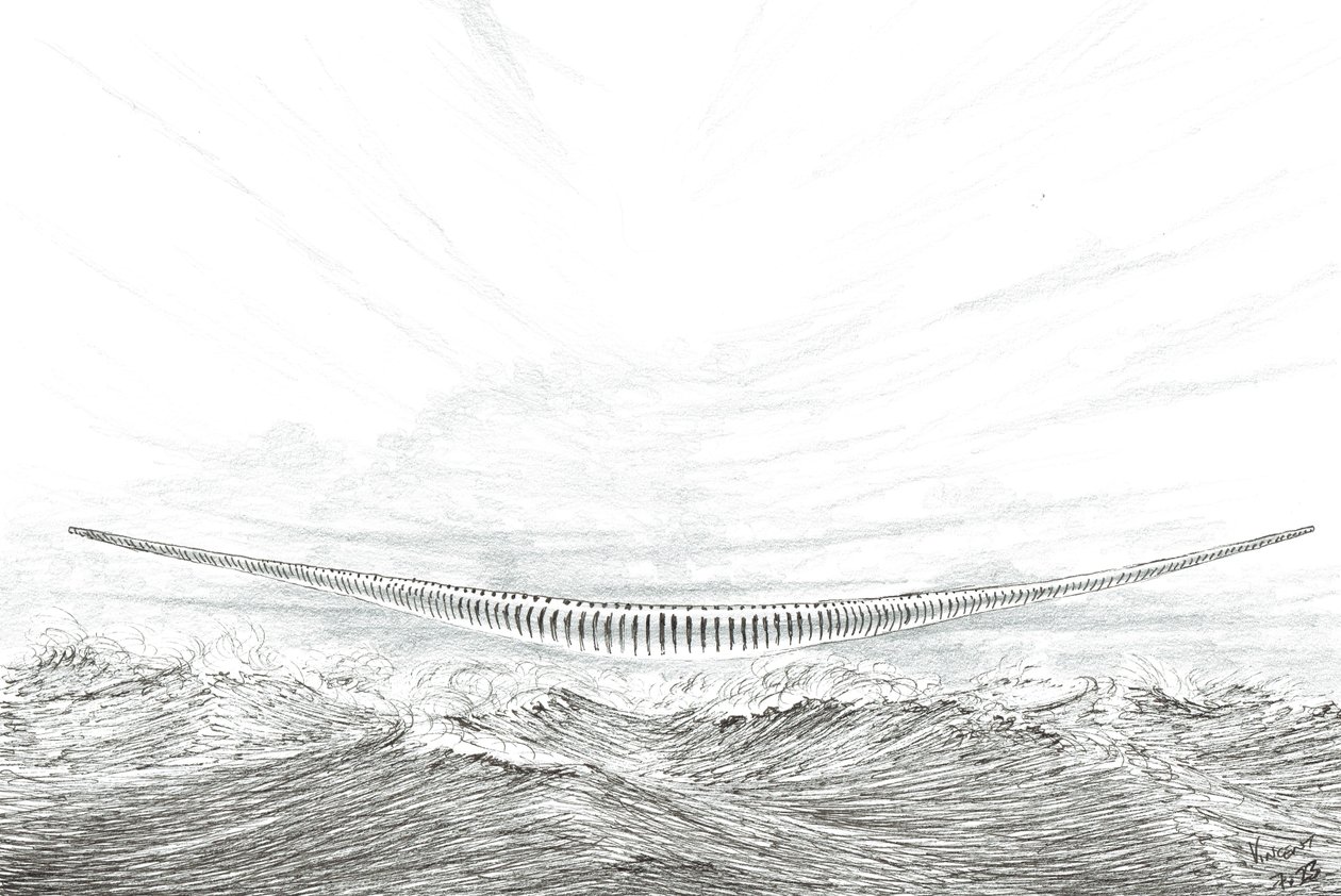 Storm Creators Cape Leveque, 2023 alkotó: Vincent Alexander Booth