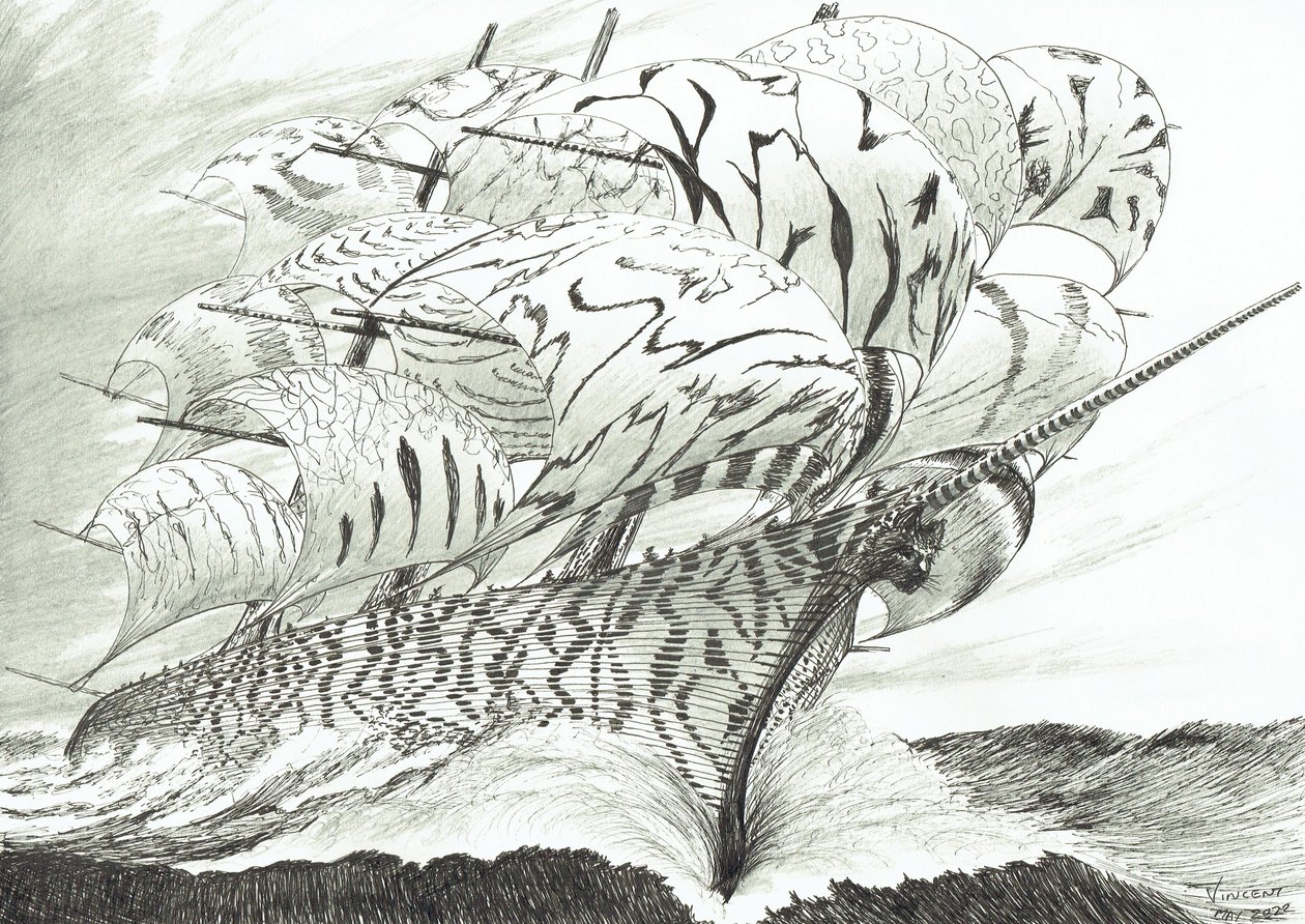 Storm Creators Lake Kariba, 2022 alkotó: Vincent Alexander Booth